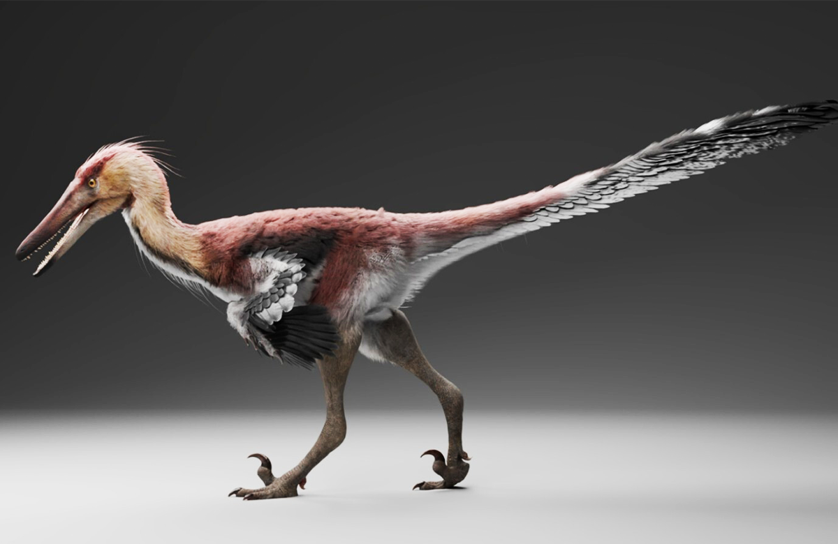 Nightmarish Heron-Like Dinosaur Unearthed in Patagonia 图片 1