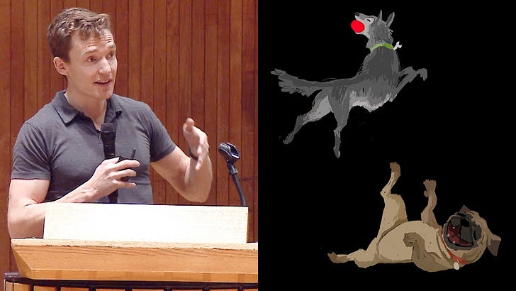 The Collie and the Pug 图片 1