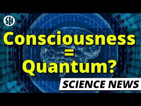 Consciousness Comes From Quantum Processes, Physicist Claims 图片 1