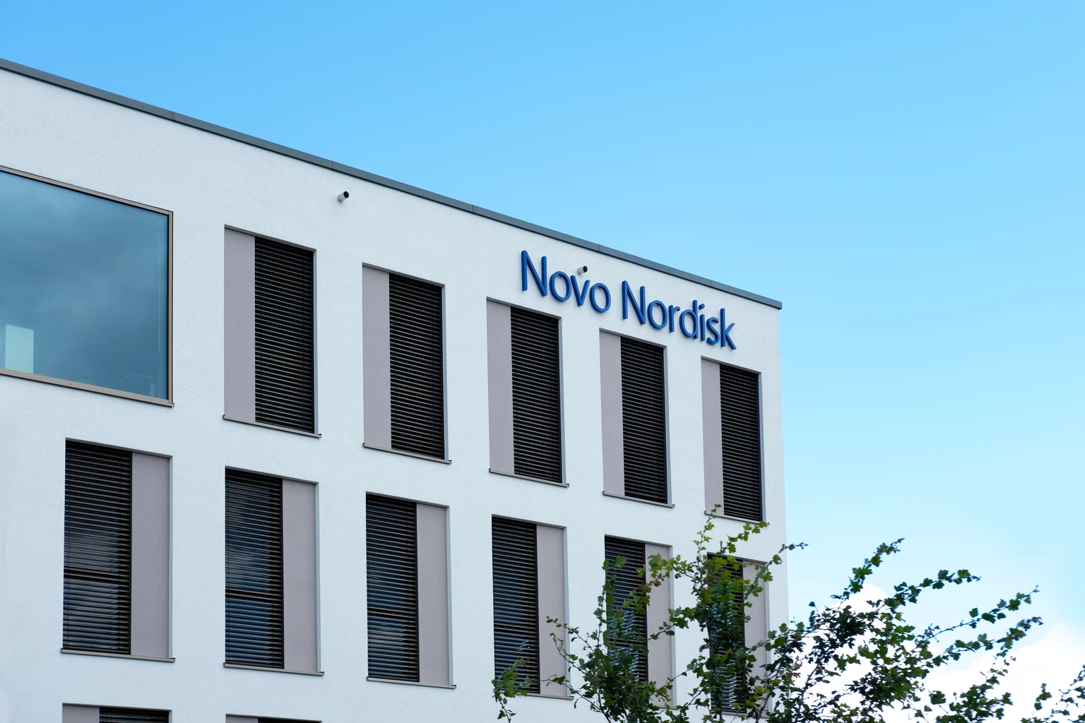 Novo Nordisk: The Biggest Healthcare Bargain 图片 1
