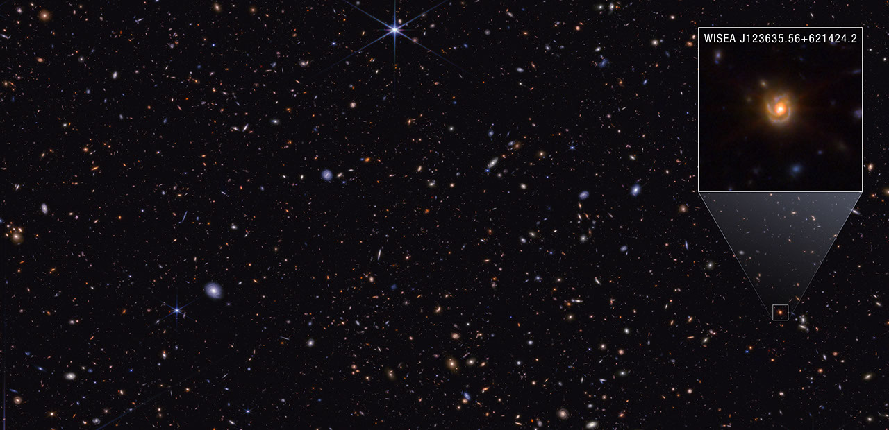 NASA Webb Explores Family Tree of Newly Discovered Distant Objects 图片 1