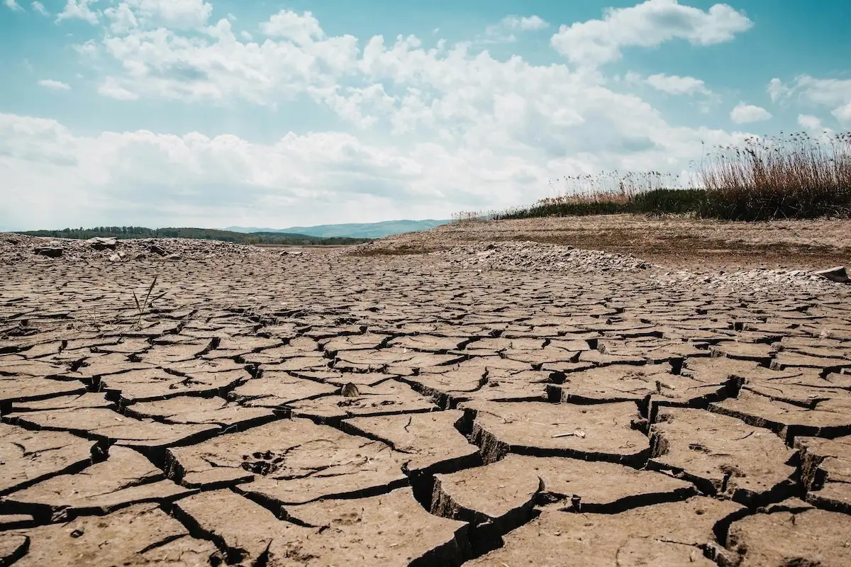 By Fueling Drought, El Niño Raises the Risk of Violent Conflict 图片 1