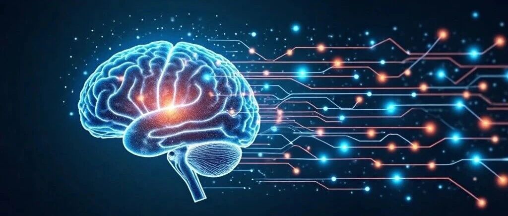 自然·通讯：聪明的人，一定拥有更“快”的大脑吗？ 图片 1