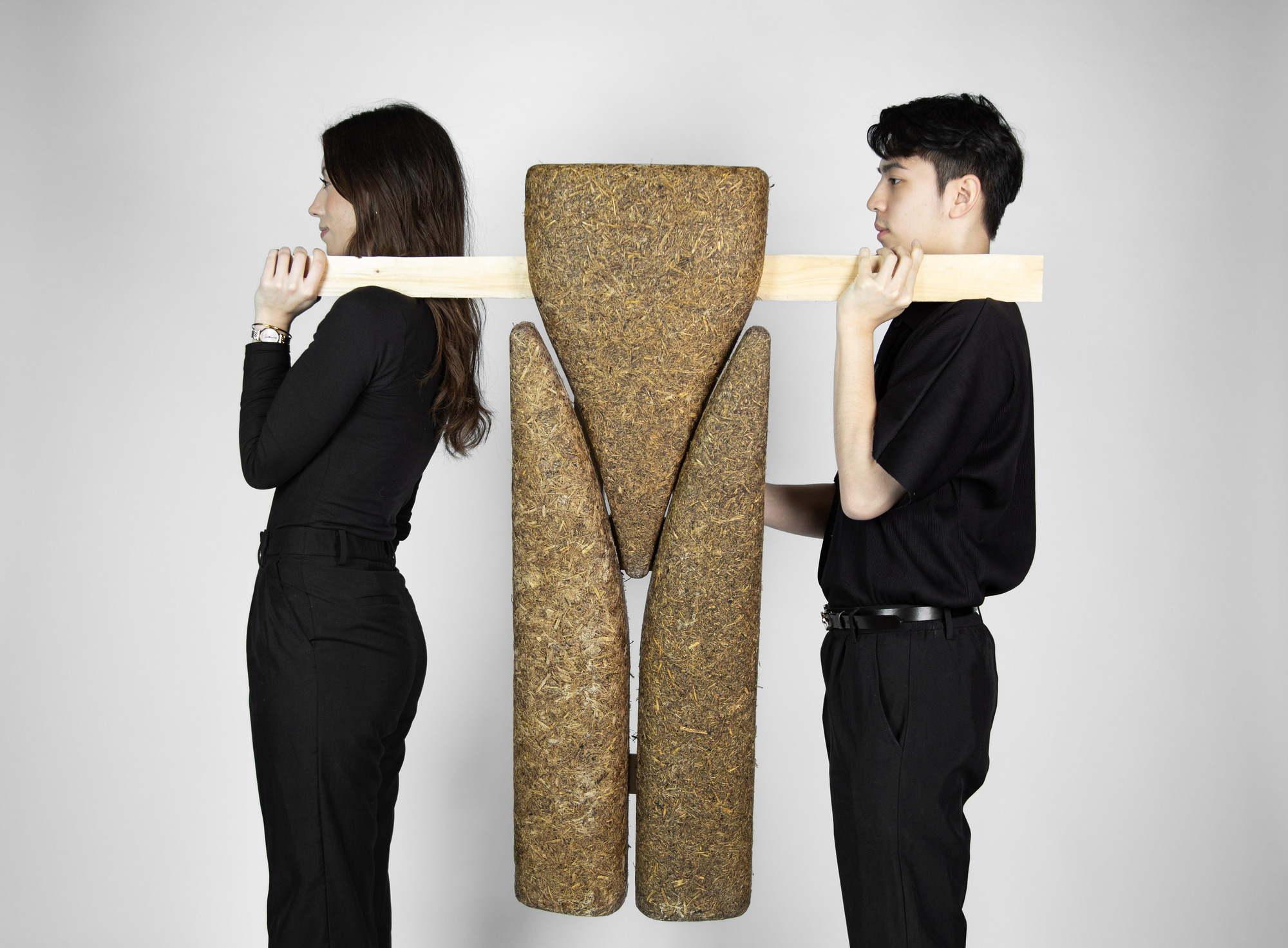 From Waste to Wall: Sugarcane Bagasse as Low-Carbon Building Material 图片 1