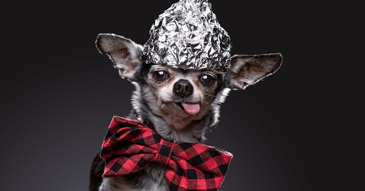 Bad ideas: From Sticky Widgets to the Spam Folder 图片 1