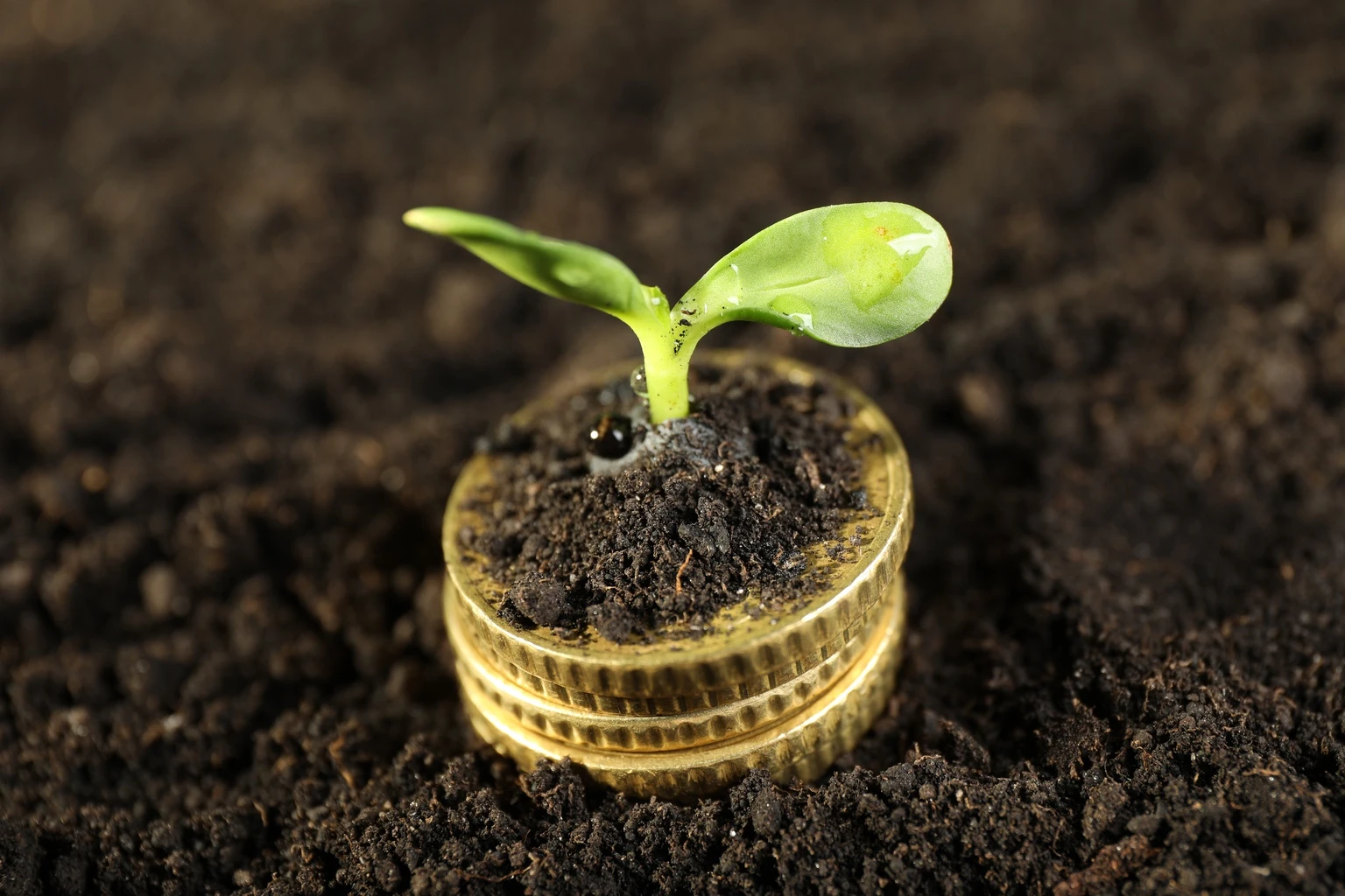 AMG Frontier Small Cap Growth Fund Q1 2026 Commentary 图片 1