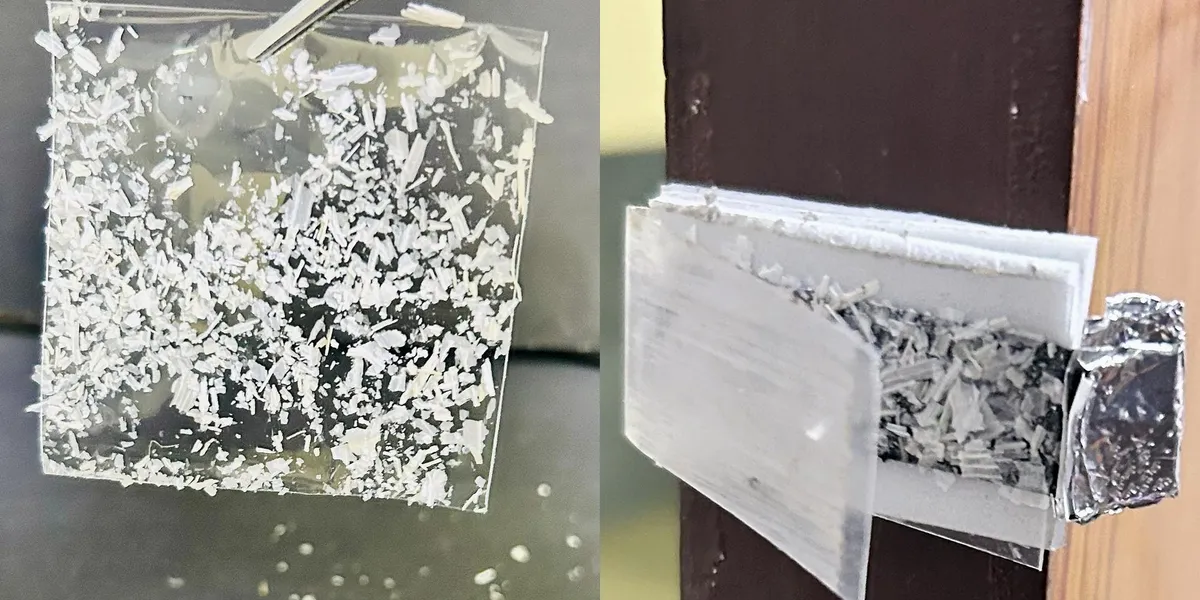 大蒜皮传感器驱动低成本家庭安防传感器 图片 1