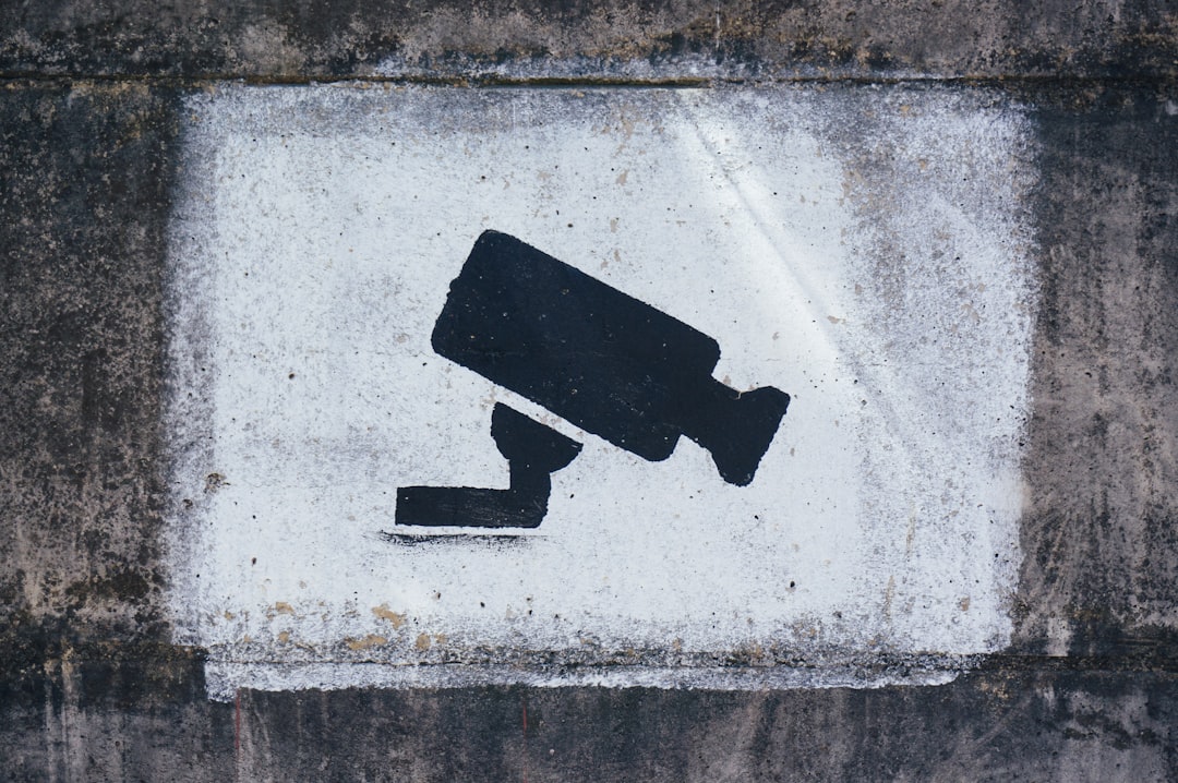 A Primer on the Economics of Privacy 图片 1