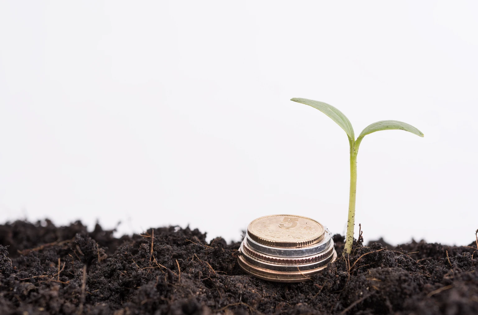 Nationwide Geneva Small Cap Growth Fund Q1 2026 Commentary 图片 1