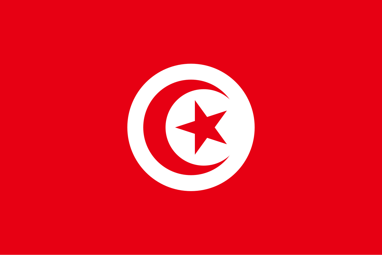 Tunisia men's national beach handball team 图片 1