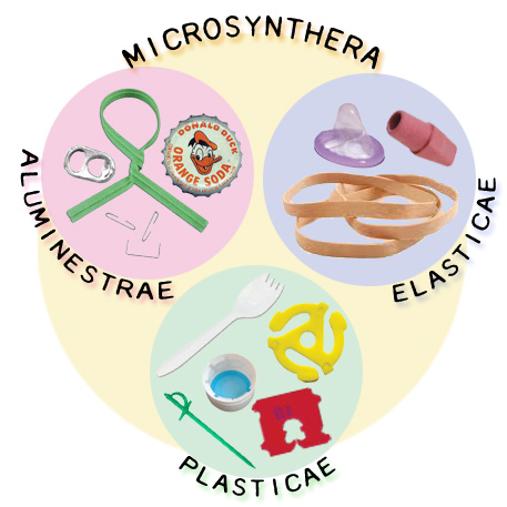 Taxonomy of the Occlupanida (parasitoids on bread bag tags) 图片 1
