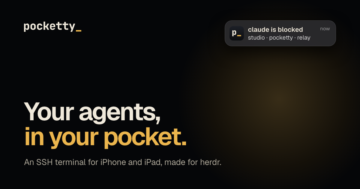 Pocketty – 当代理被阻塞时给你发 ping 的 iPhone SSH 终端 图片 1