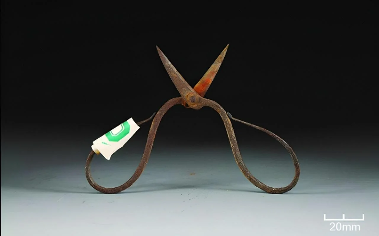 Ming Dynasty surgical tools reveal traces of toxic herbal anesthetic used 600 years ago 图片 1