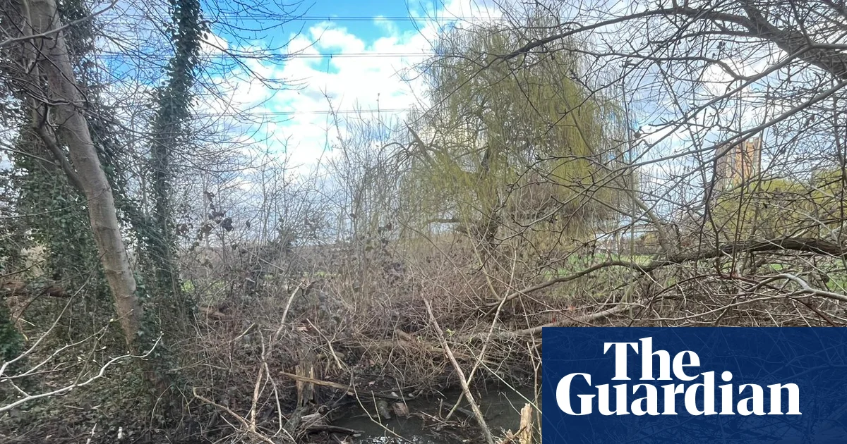 UK Environment Agency threatens to prosecute campaigner after waterway cleanup 图片 1