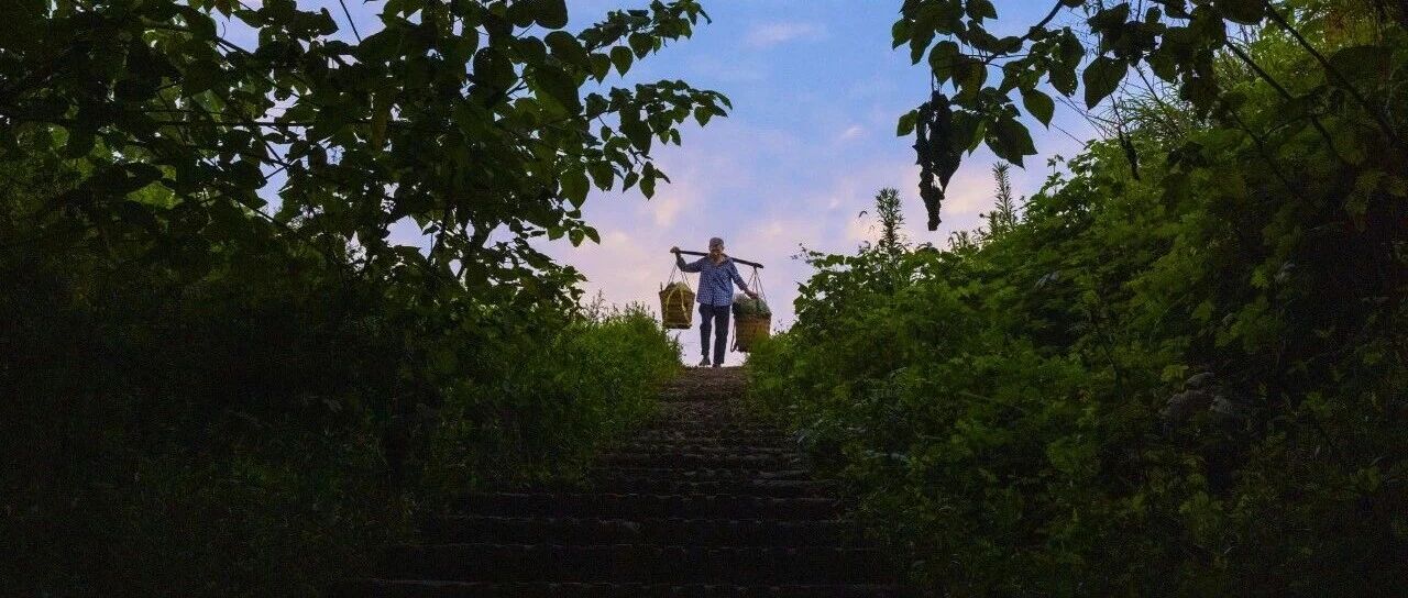 坐着“背篓专线”进城卖菜 图片 1