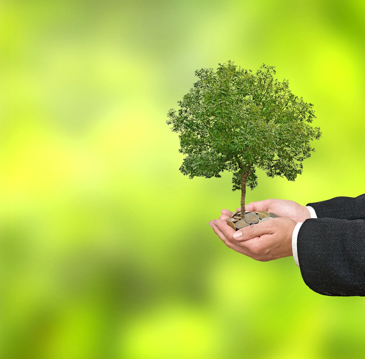LendingTree: Wall Street Dumped The Stock, But Strong Insurance Growth Makes Me Bullish 图片 1
