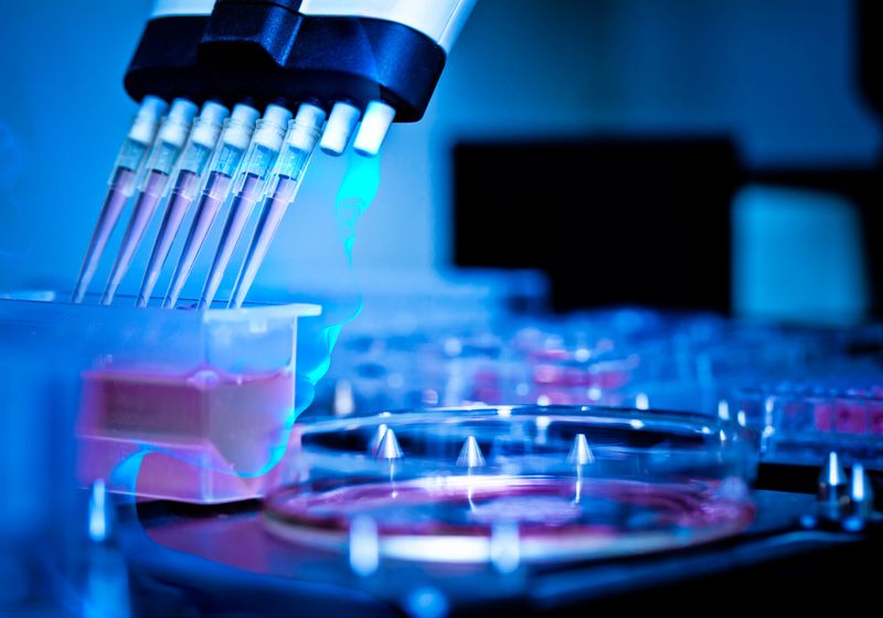 Anthropic 隐秘的 AI 驱动湿实验室揭橥并发布首项发现 图片 1