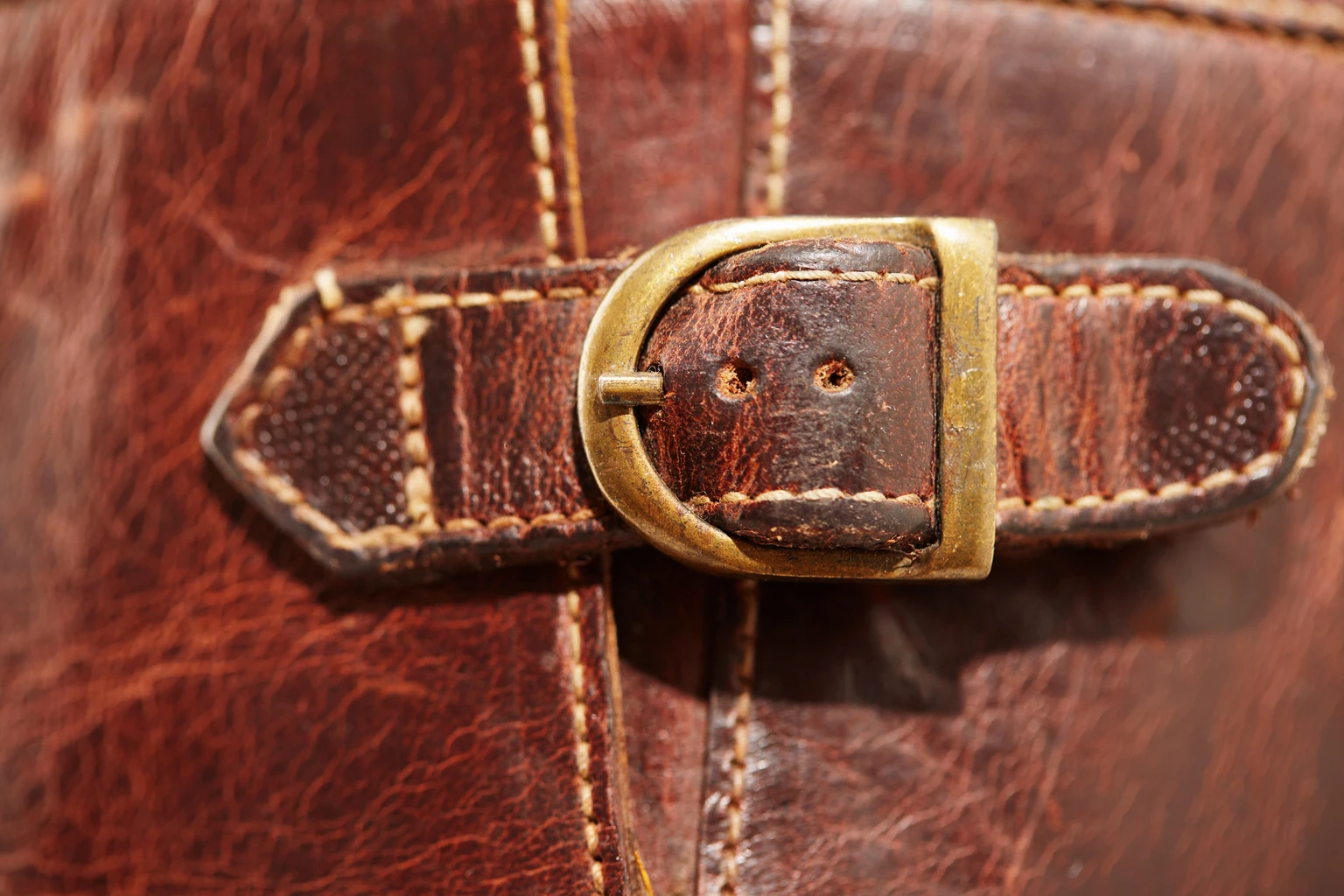 The Buckle Offers A Consistent Dividend At A Decent Entry Point 图片 1