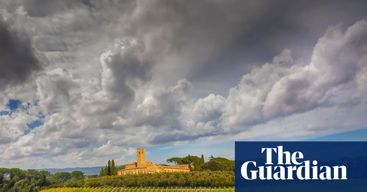 DNA from 2k-year-old grape seeds points to origins of modern winemaking 图片 1