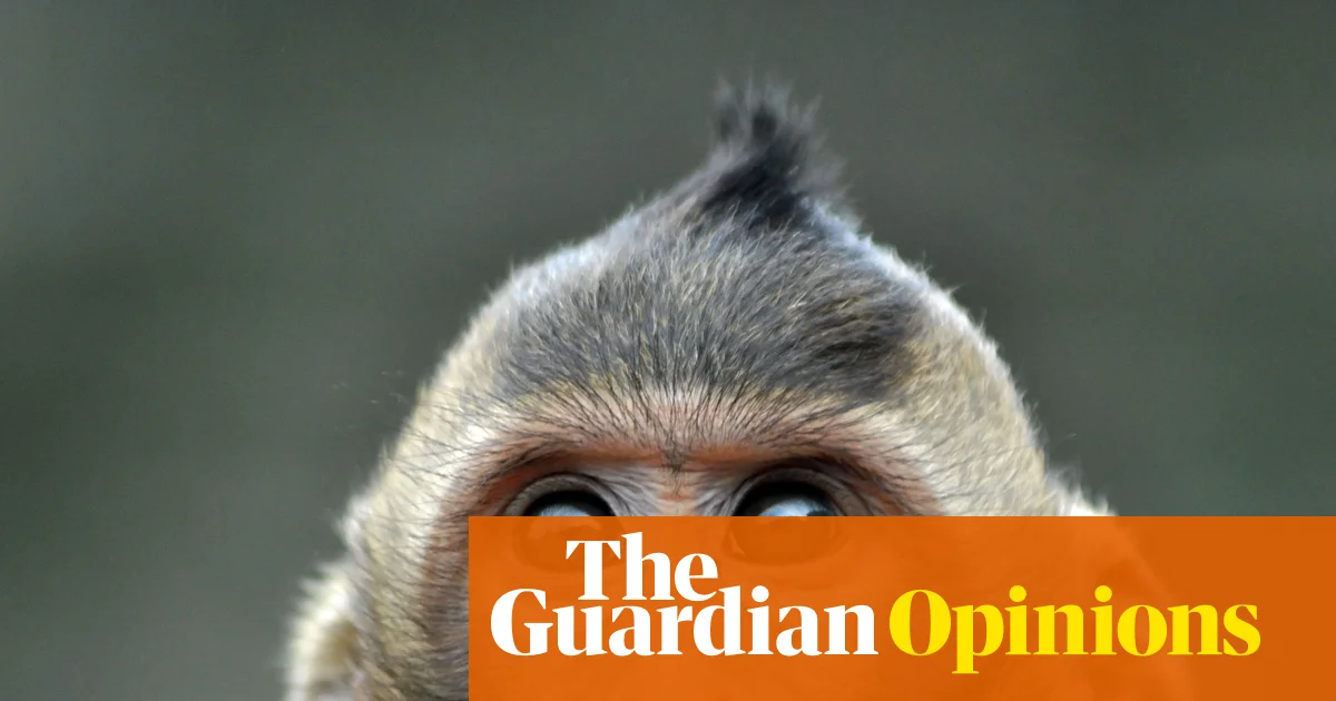 Why would we show an optical illusion to a monkey or a sparrow? To learn how they experience time, of course | Ishan Singhal 图片 1