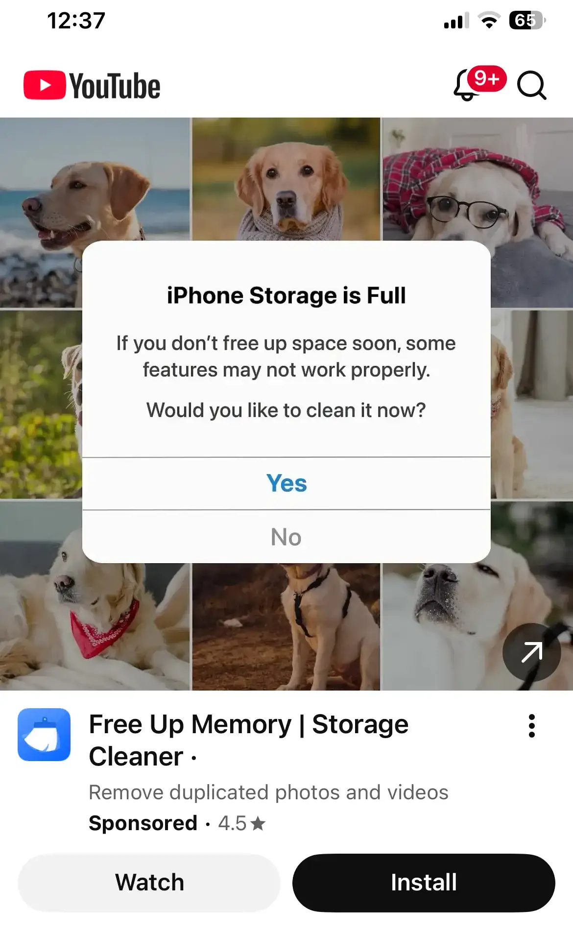 为什么 Google 还在投放问题广告？连自家 AI 都看不下去了 图片 1