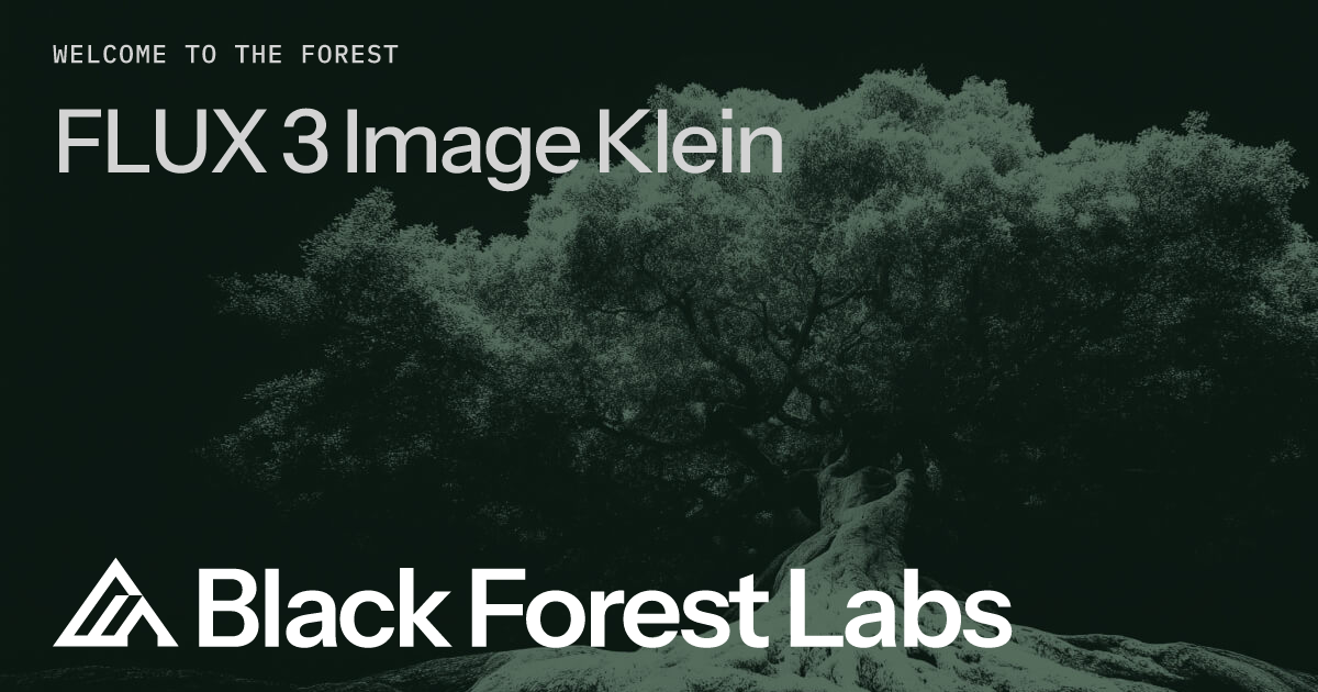 FLUX 3 Image Klein：开放权重，5.6B 参数 图片 1