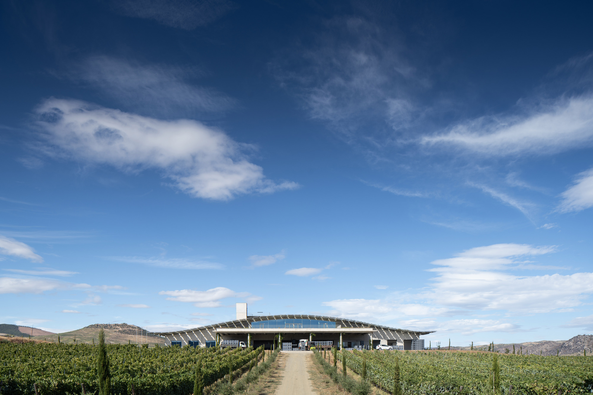 Adega do Ataíde Winery / Luís Loureiro Arquiteto 图片 1
