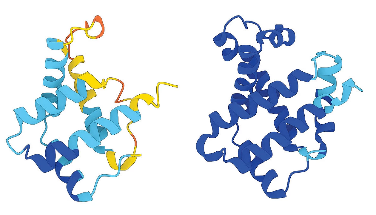 New AI-based program is a shrink ray for proteins 图片 1