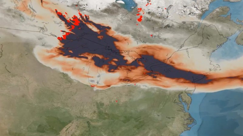 What’s to blame for Canada’s wildfires? 图片 1