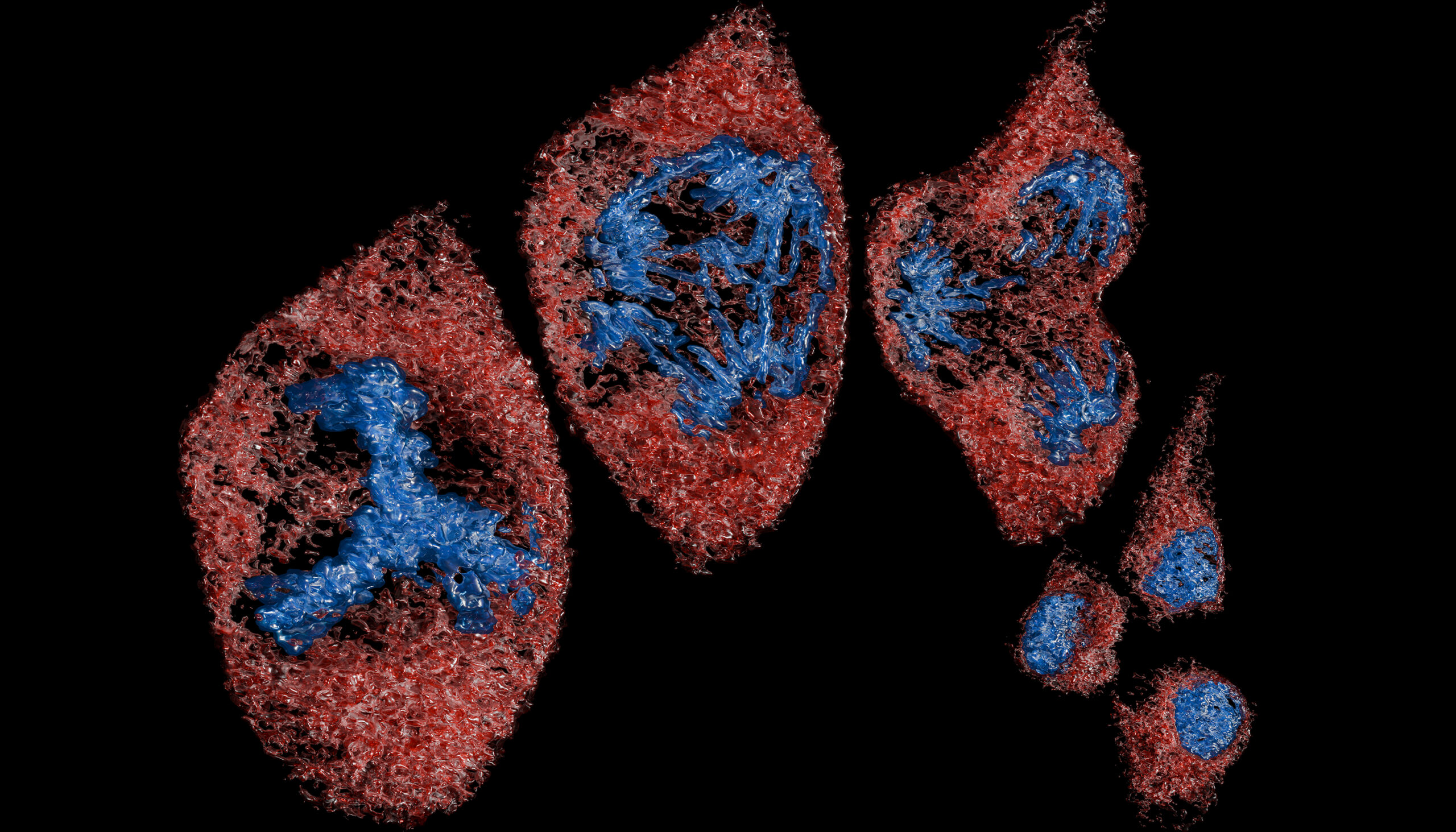 Hi-res microscopes give biologists petabytes of data, and then make sense of it 图片 1