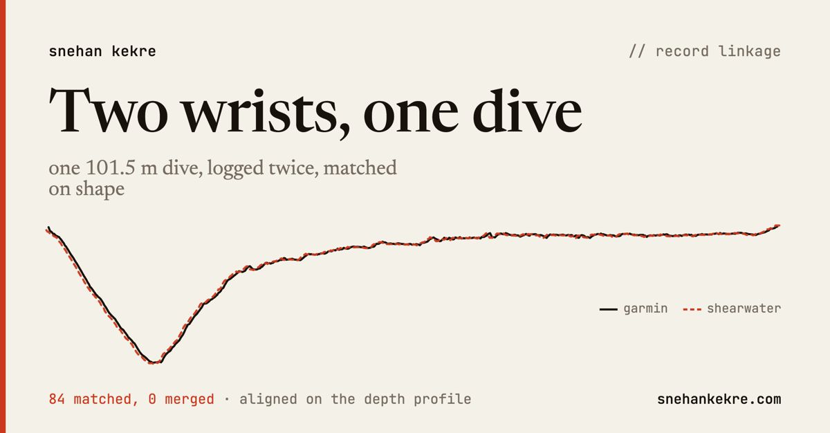Two wrists, one dive 图片 1