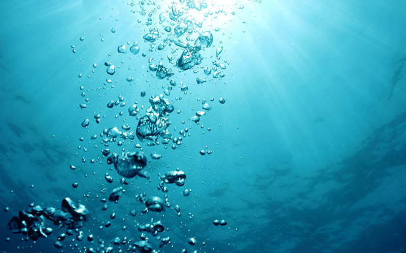 Underwater Oxygen Loss Threatens Earth's Stability, Researchers Warn 图片 1