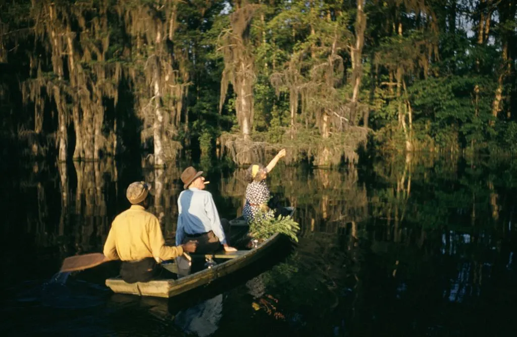 How to Survive in a Louisiana Swamp 图片 1