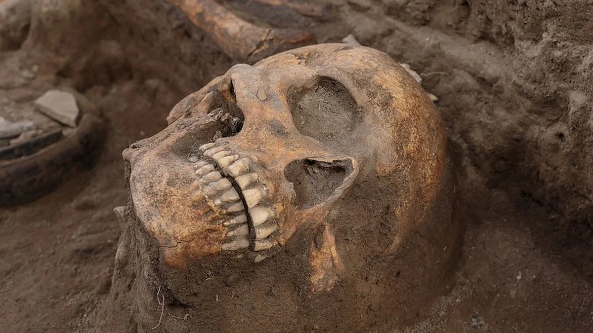 Archaeologists Unearth Pre-Aztec Altar in Mexico That Hints at Human Sacrifice 图片 1