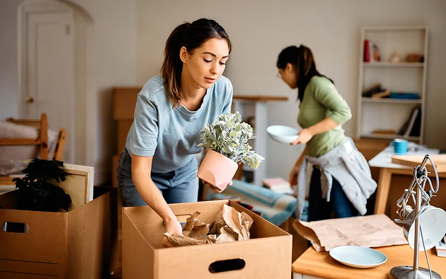 Why Do Fewer Renters Expect to Move? 图片 1