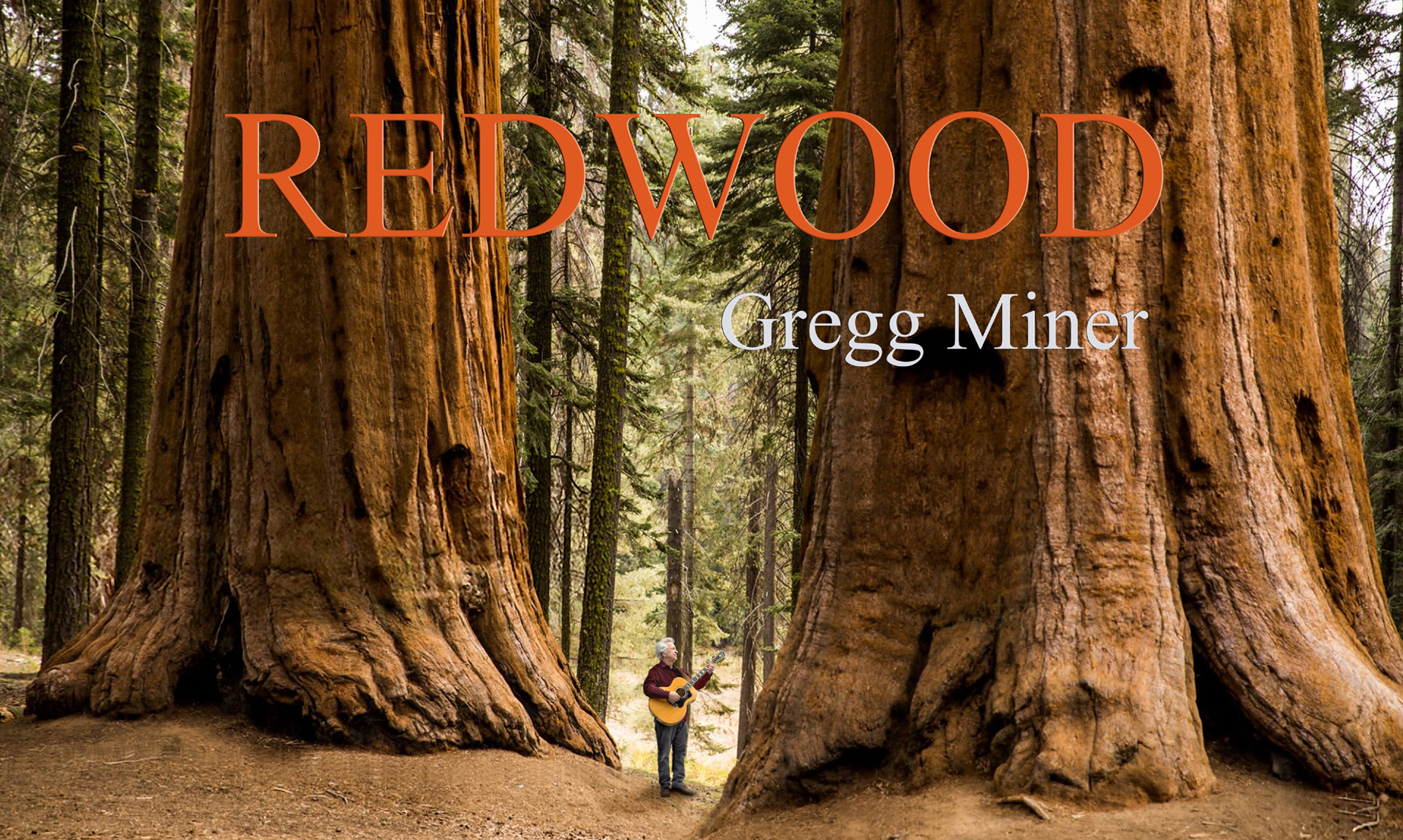 Redwood 图片 1