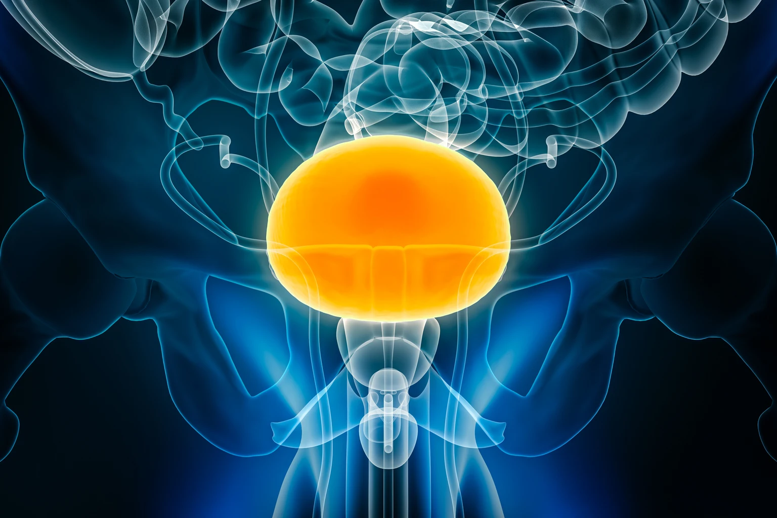 enGene Therapeutics: The Selloff Creates An Opportunity 图片 1
