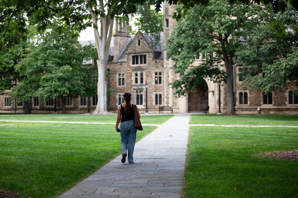 Student Lender Collapses as Immigrant Crackdown Roils Loan Book 图片 1