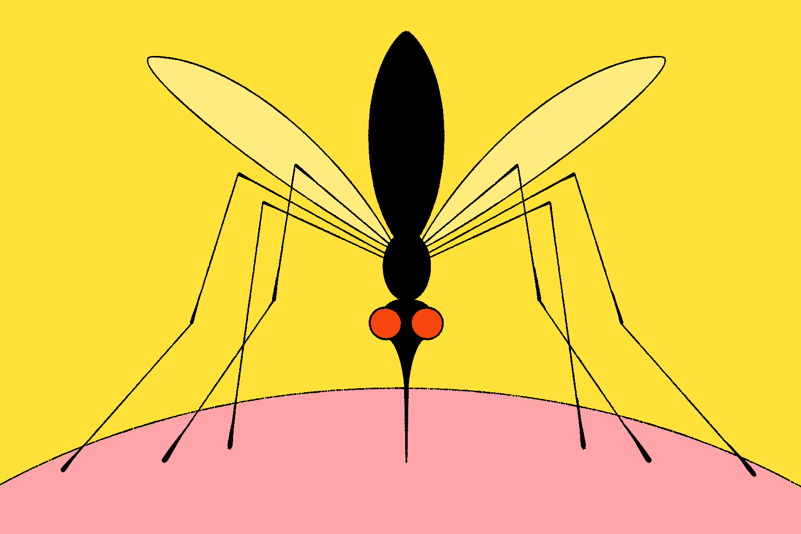 Invasive Aedes mosquitoes are colonizing US cities that were too cold for them 图片 1