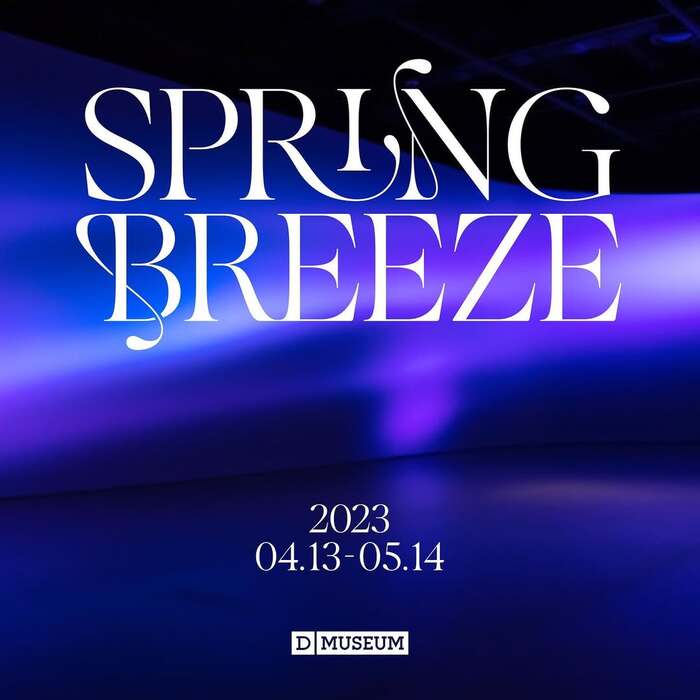 Spring Breeze at D Museum 图片 1
