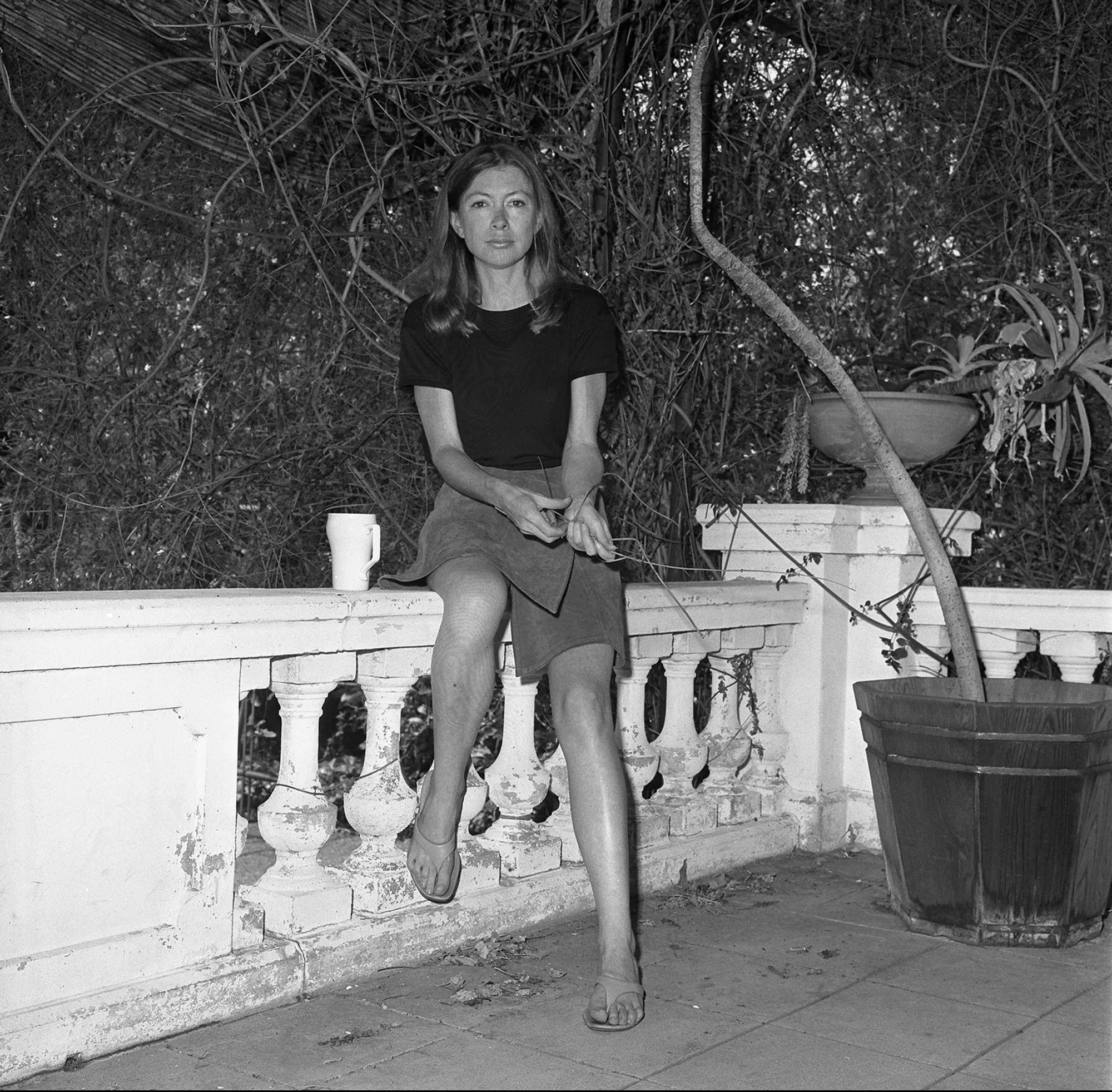[文]琼 · 狄迪恩：论自尊 On Self-Respect (by Joan Didion) 图片 1
