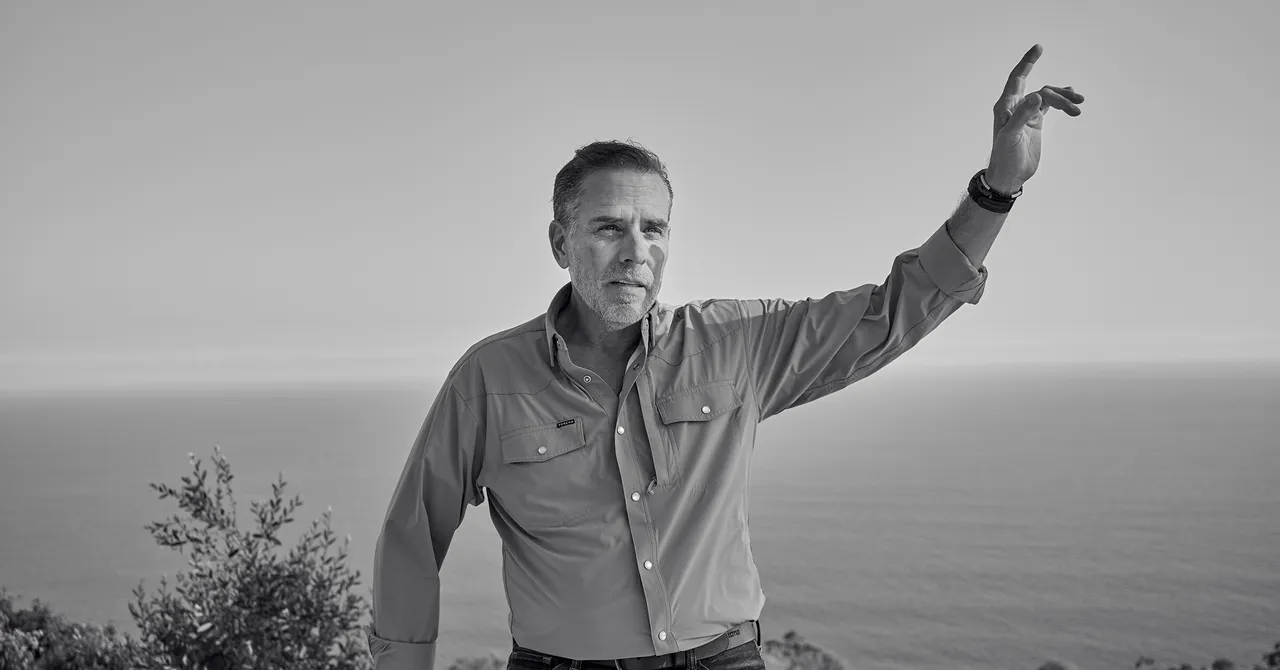 How Hunter Biden Won the Internet 图片 1