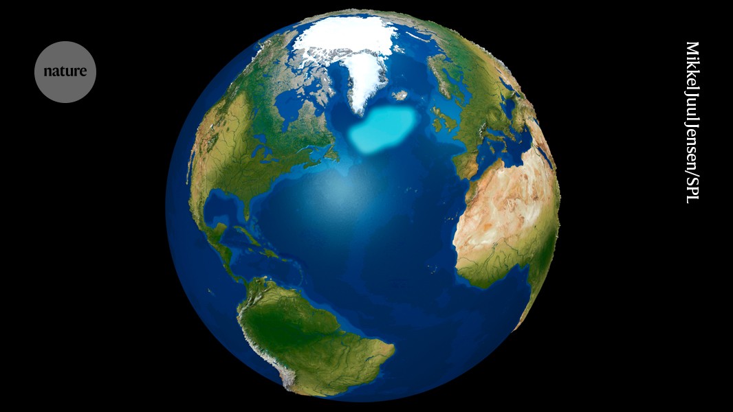 Ocean ‘cold blob’ is evidence for a troubling climate trend 图片 1