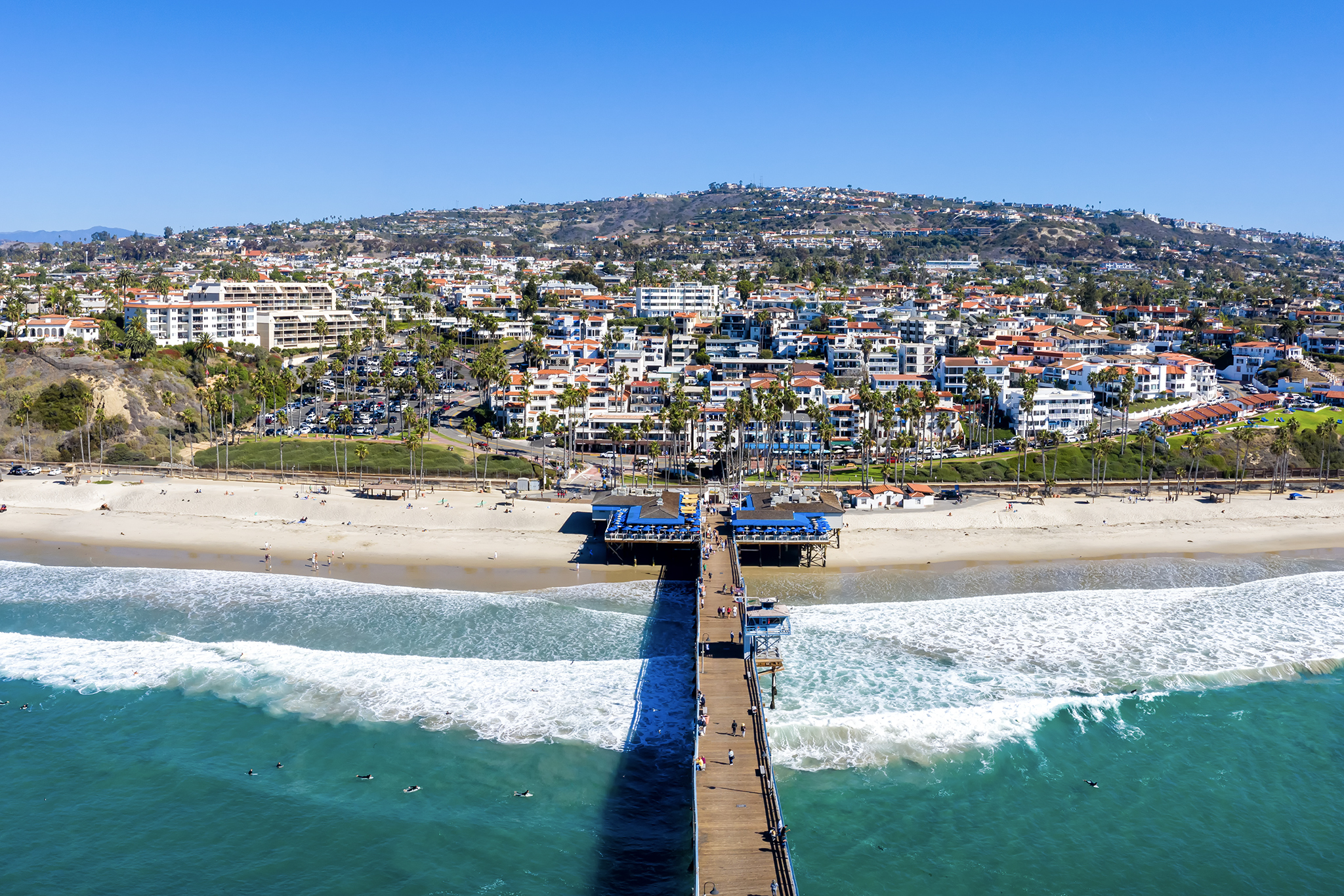 Impossibly rare tropical bird swooped over California. Experts fear a trend 图片 1