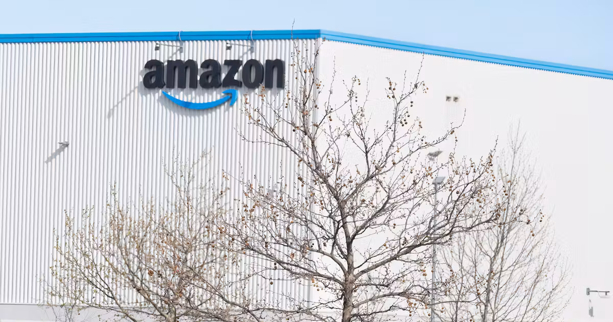Amazon Is Creating the Biggest Pollution Source in the Country 图片 1