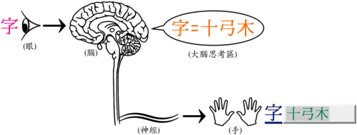 上手倉頡輸入法 图片 3