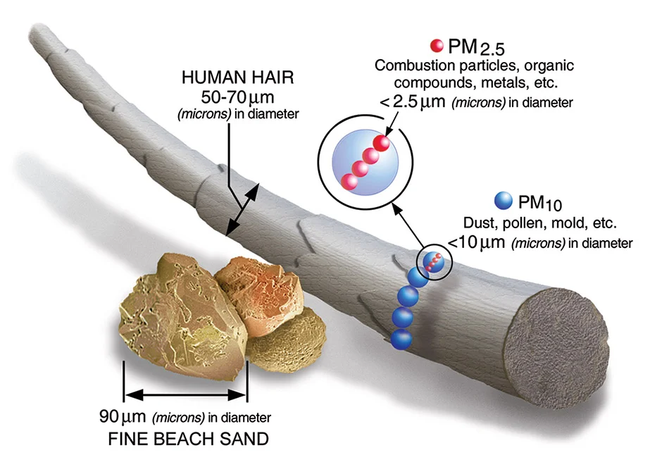 42 Studies Confirm: Air Pollution Is Linked to Higher Parkinson's Risk 图片 3
