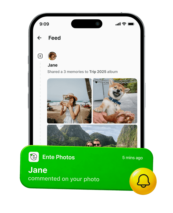New in Ente Photos: Offline Gallery, Better Sharing, ML Improvements, and More 图片 4