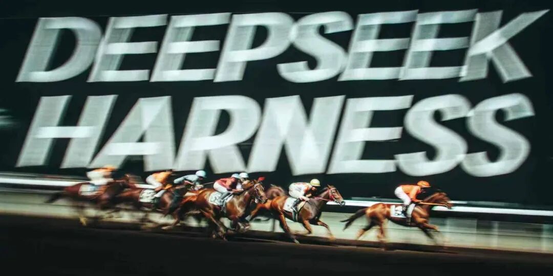 DeepSeek Harness 发布 45 小时，我们听到了 8 种不同的声音 图片 2
