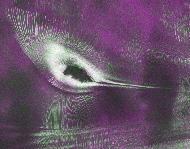 US-India Satellite Delivers Data, Reveals ‘Hummingbird’ in Antarctica 图片 3
